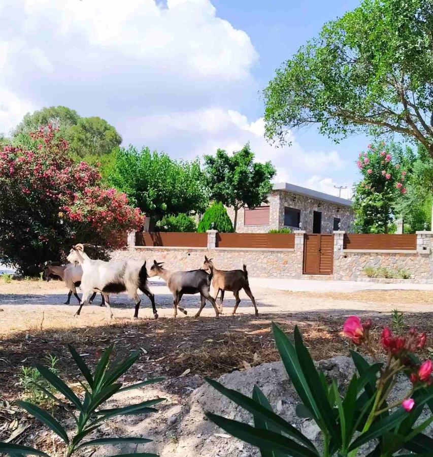 أرخانجلوس Aithonas Villa المظهر الخارجي الصورة
