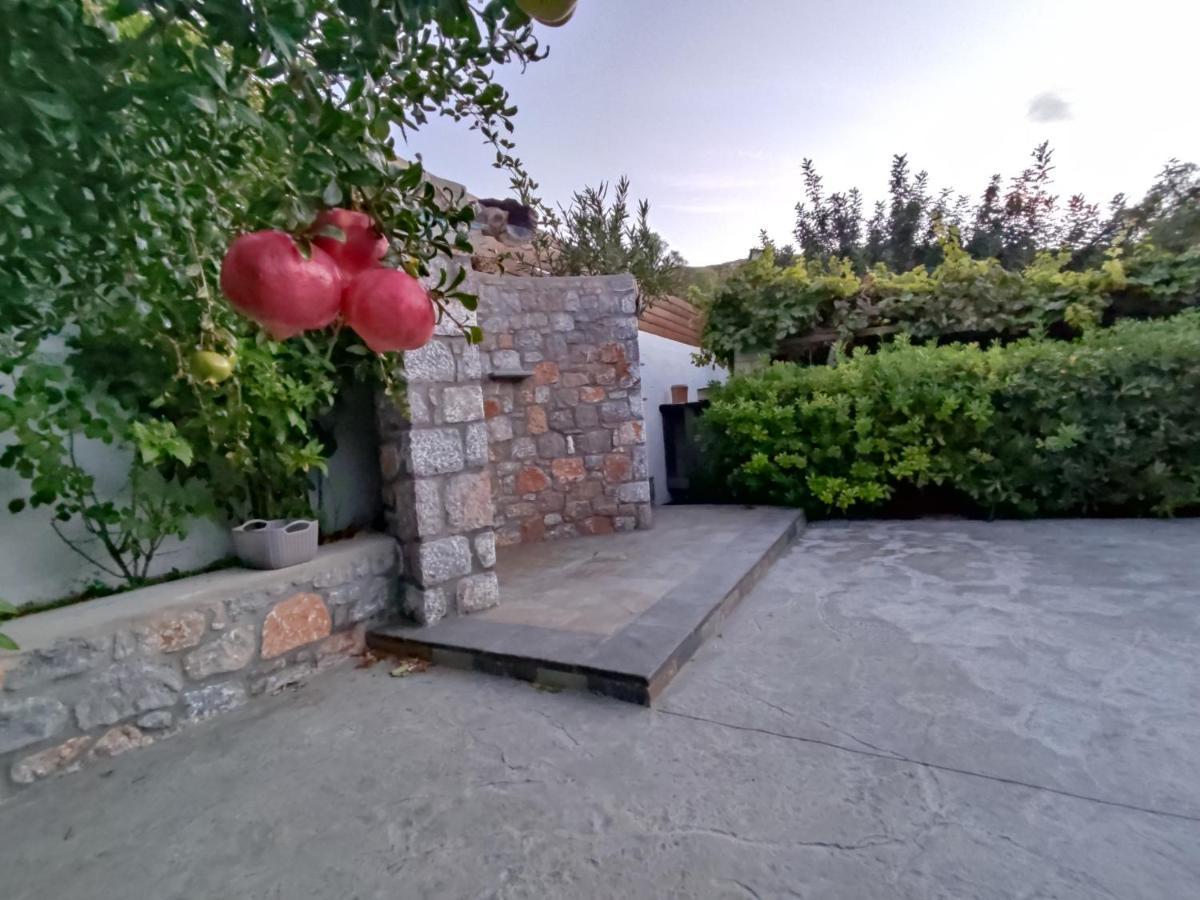 أرخانجلوس Aithonas Villa المظهر الخارجي الصورة