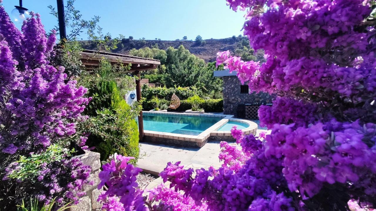 أرخانجلوس Aithonas Villa المظهر الخارجي الصورة