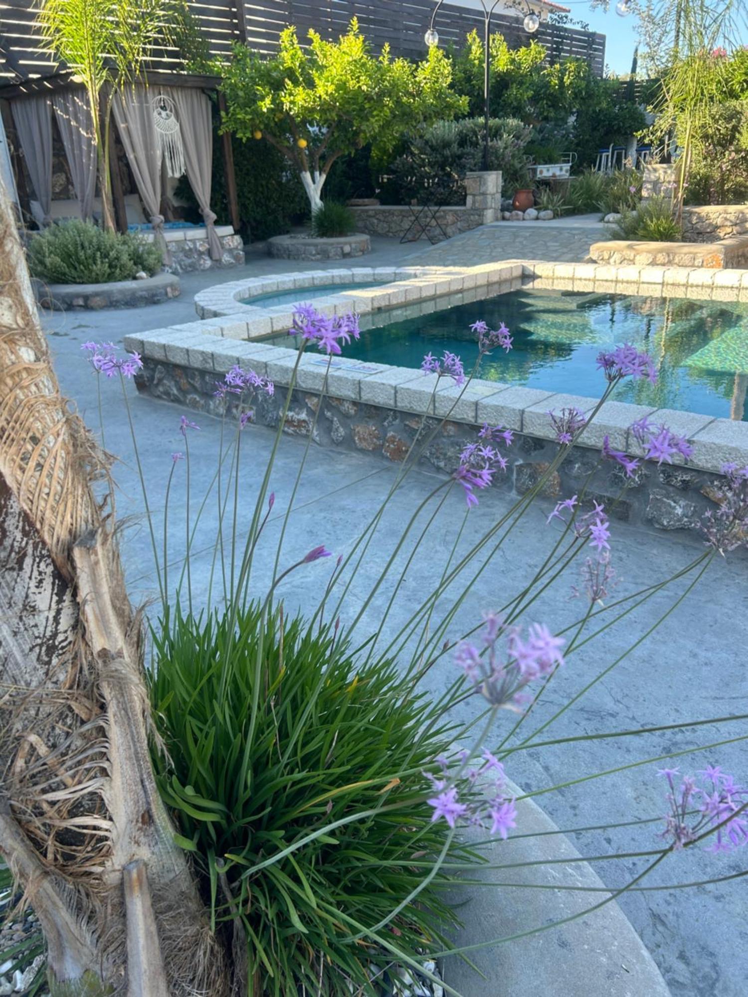 أرخانجلوس Aithonas Villa المظهر الخارجي الصورة