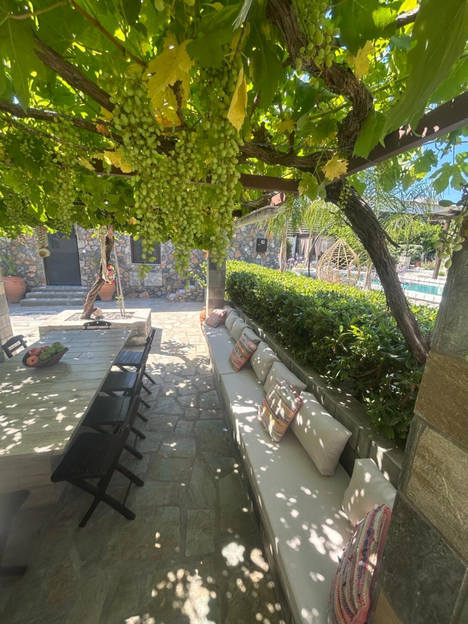 أرخانجلوس Aithonas Villa المظهر الخارجي الصورة
