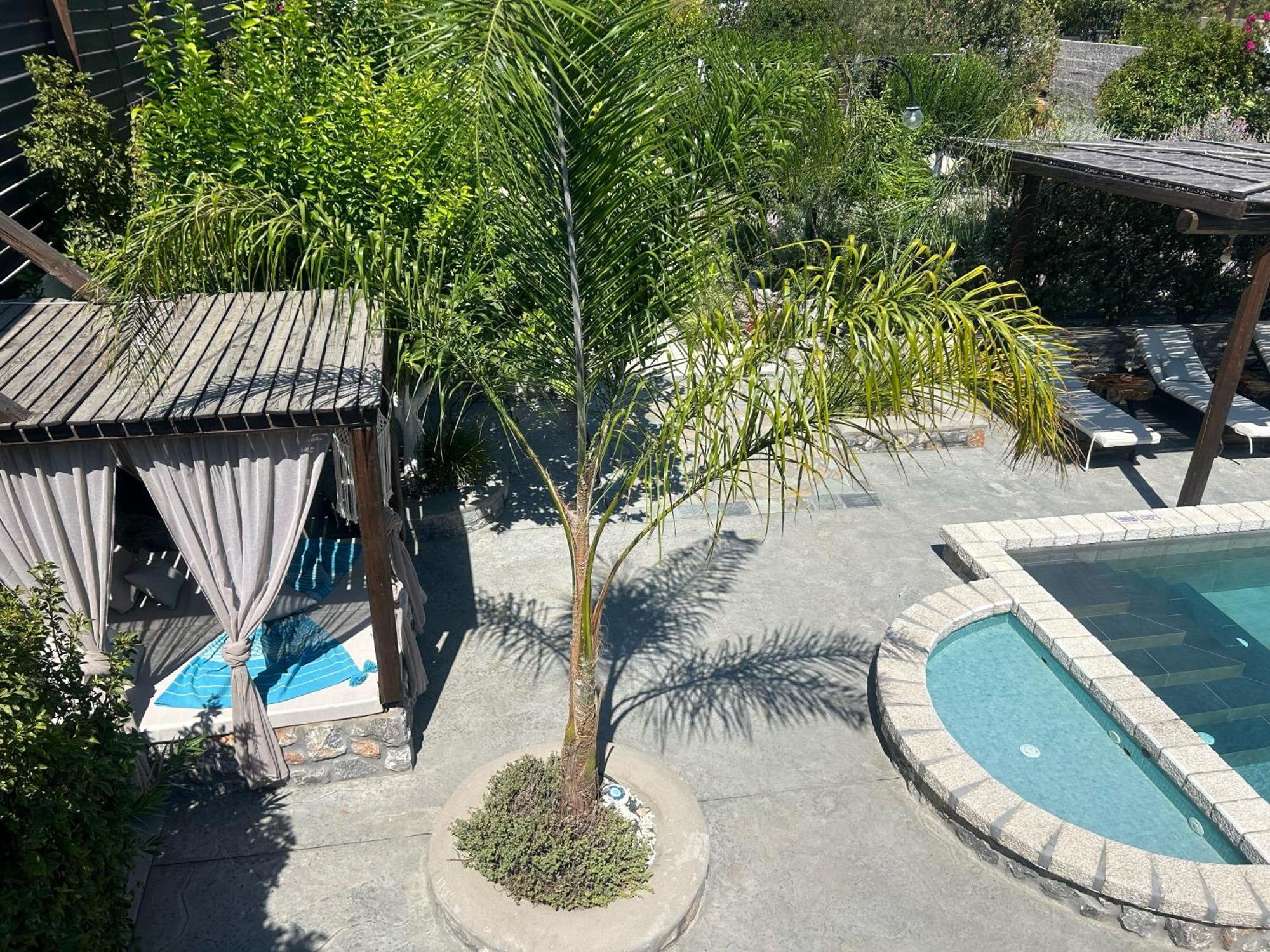 أرخانجلوس Aithonas Villa المظهر الخارجي الصورة